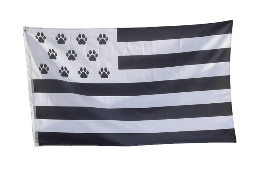 drapeau puppy breton